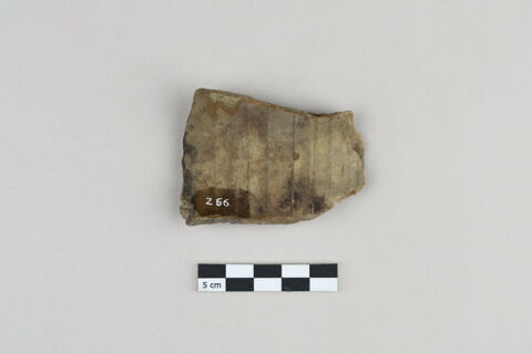 ostracon, image 2/3