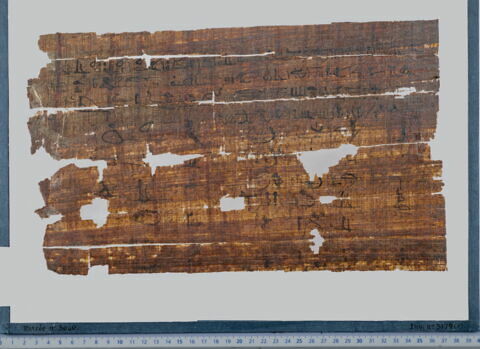 papyrus funéraire, image 4/4