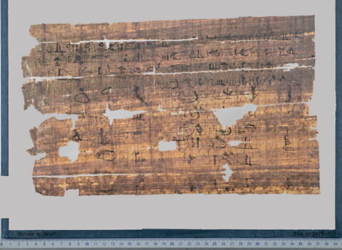 papyrus funéraire, image 1/4