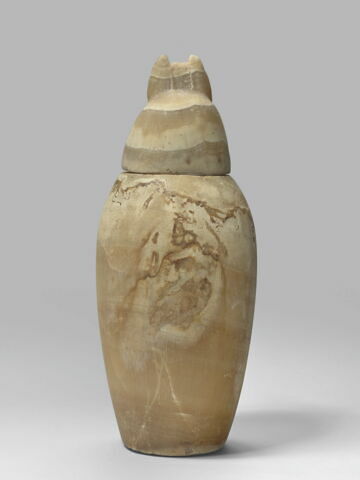 vase canope, image 5/5