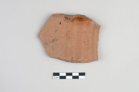 ostracon, image 2/3