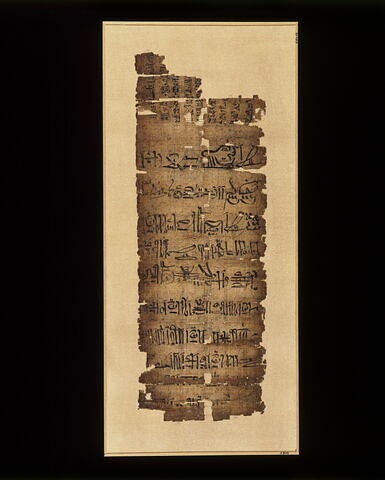 papyrus littéraire
