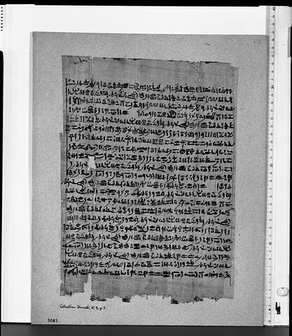 papyrus funéraire, image 3/11