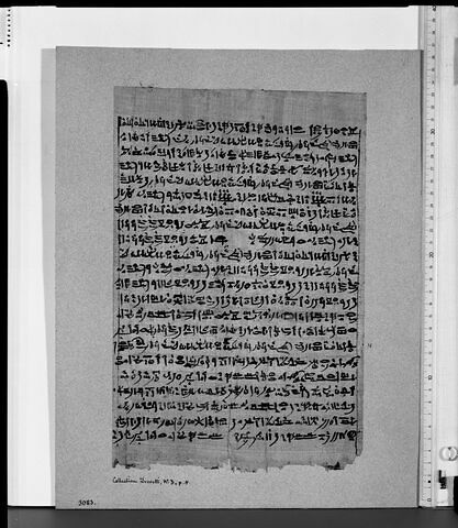 papyrus funéraire, image 5/11
