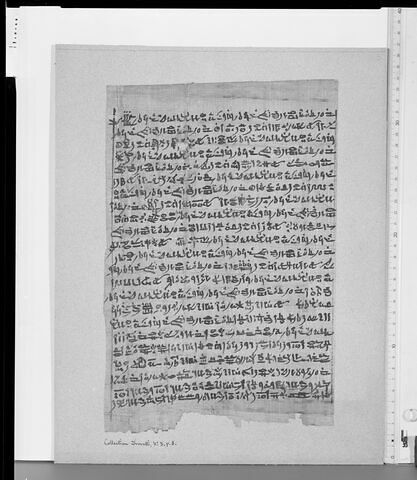 papyrus funéraire, image 8/11
