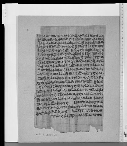 papyrus funéraire, image 9/11