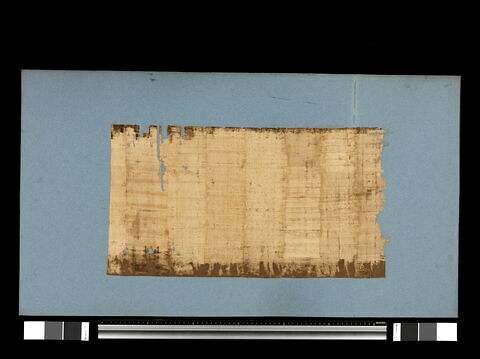 papyrus magique, image 4/4
