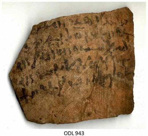 ostracon, image 1/1