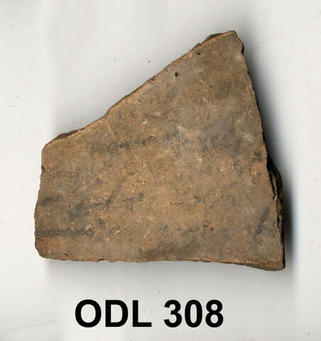 ostracon, image 1/1