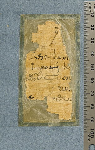 papyrus funéraire, image 7/29