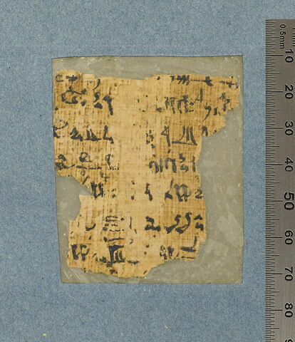 papyrus funéraire, image 20/29