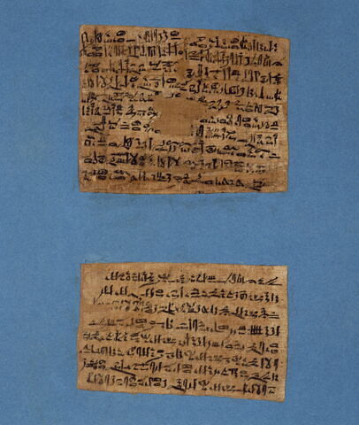 papyrus documentaire, image 2/2