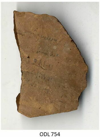 ostracon, image 1/1