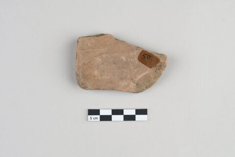 ostracon, image 2/3
