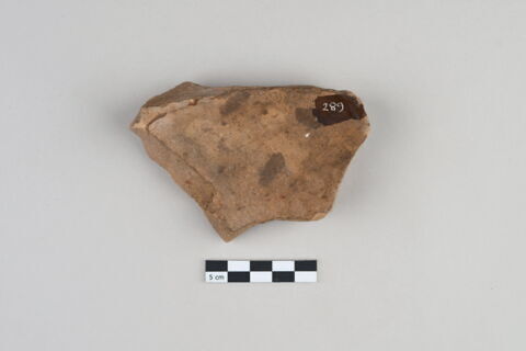 ostracon, image 2/3