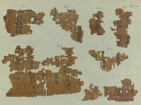 papyrus funéraire, image 4/11