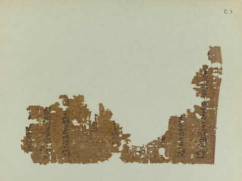papyrus funéraire, image 6/11