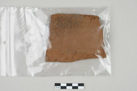 ostracon, image 1/1