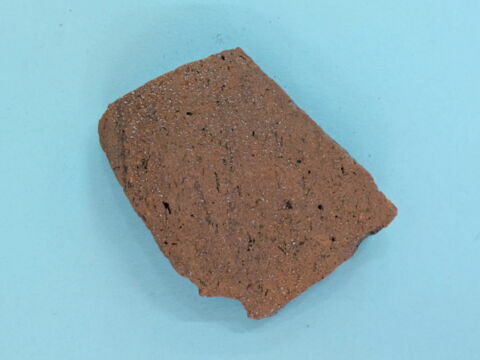 ostracon, image 1/1