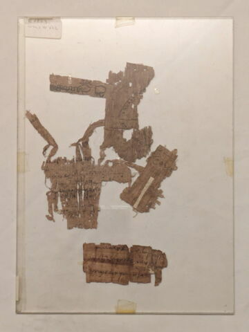 papyrus, image 2/2