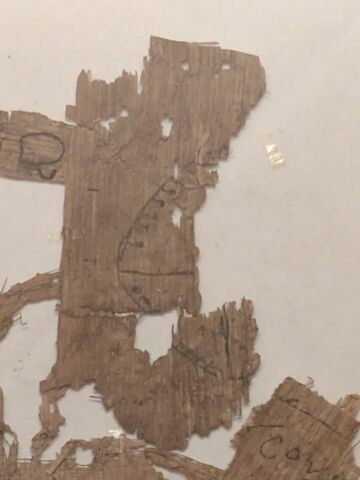 papyrus, image 1/2