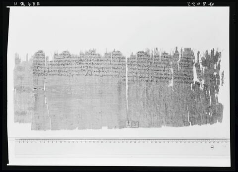 papyrus documentaire, image 4/5