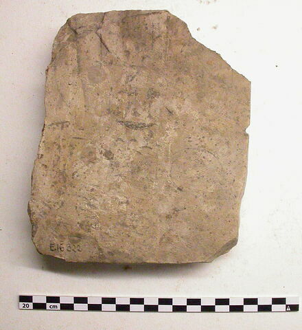 ostracon figuré  ; stèle, image 1/1