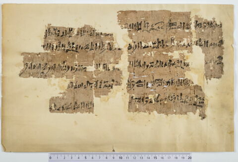 papyrus documentaire, image 2/4
