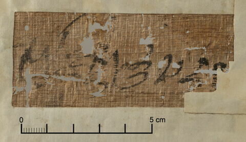 papyrus documentaire, image 4/4