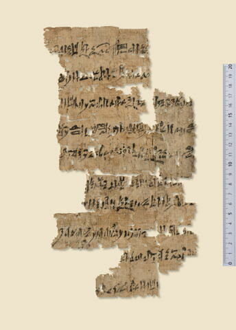 papyrus documentaire, image 1/4