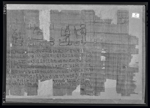 papyrus funéraire, image 8/9