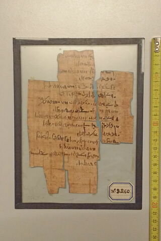 papyrus documentaire, image 1/1