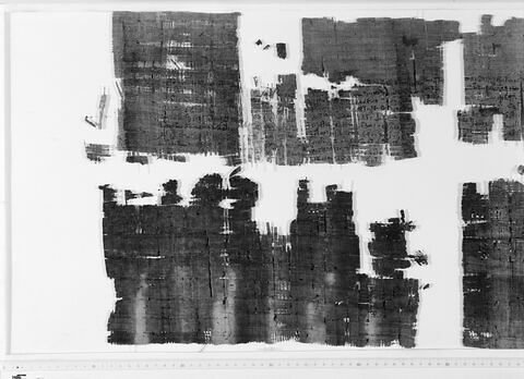 papyrus documentaire, image 4/5