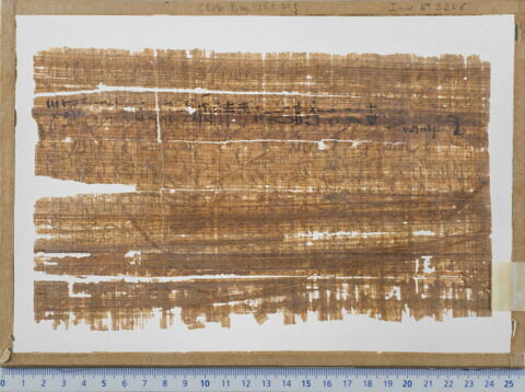papyrus funéraire, image 2/2