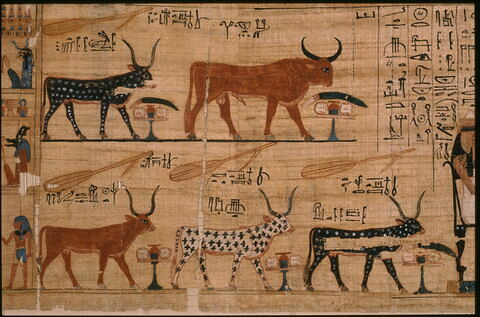 papyrus funéraire, image 7/21