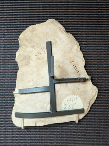 ostracon figuré, image 2/5