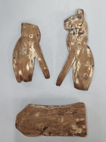 sarcophage d'animal, image 6/6