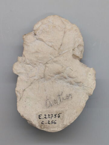 statue, image 2/2