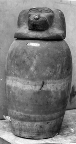 vase canope, image 8/8