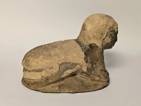 scarabée, image 4/6
