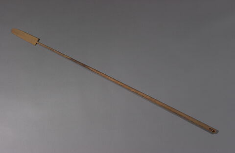 sceptre ; bâton