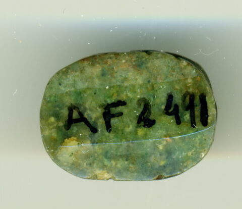 scarabée, image 2/2