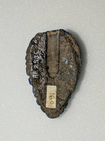 incrustation, image 2/2