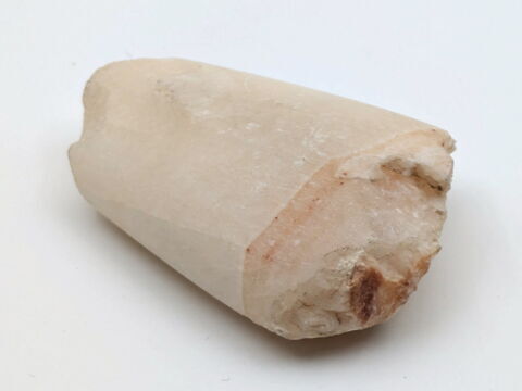 modèle ; simulacre, image 3/3