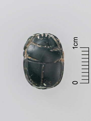 scarabée, image 2/3