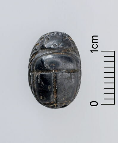 scarabée, image 2/3