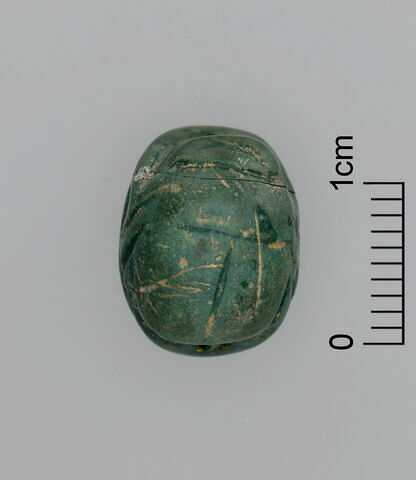 scarabée, image 3/3