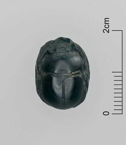scarabée, image 3/3