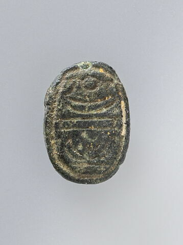 scarabée, image 1/3