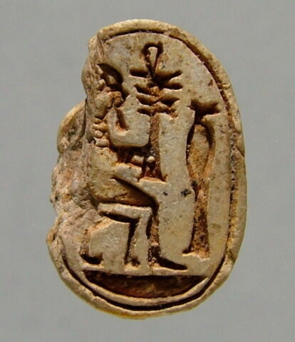 scarabée, image 1/1